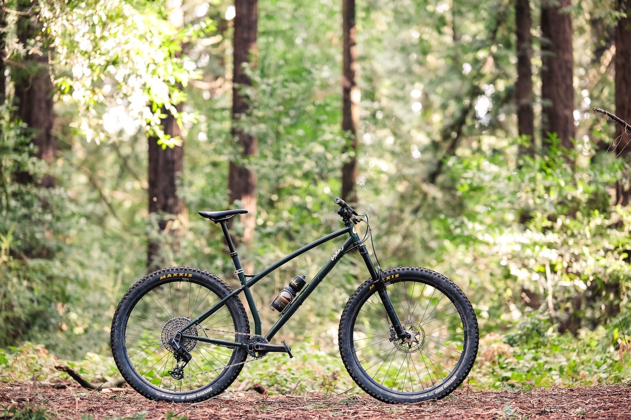 Steve from Hardtail Party Reviews the Tall Tale