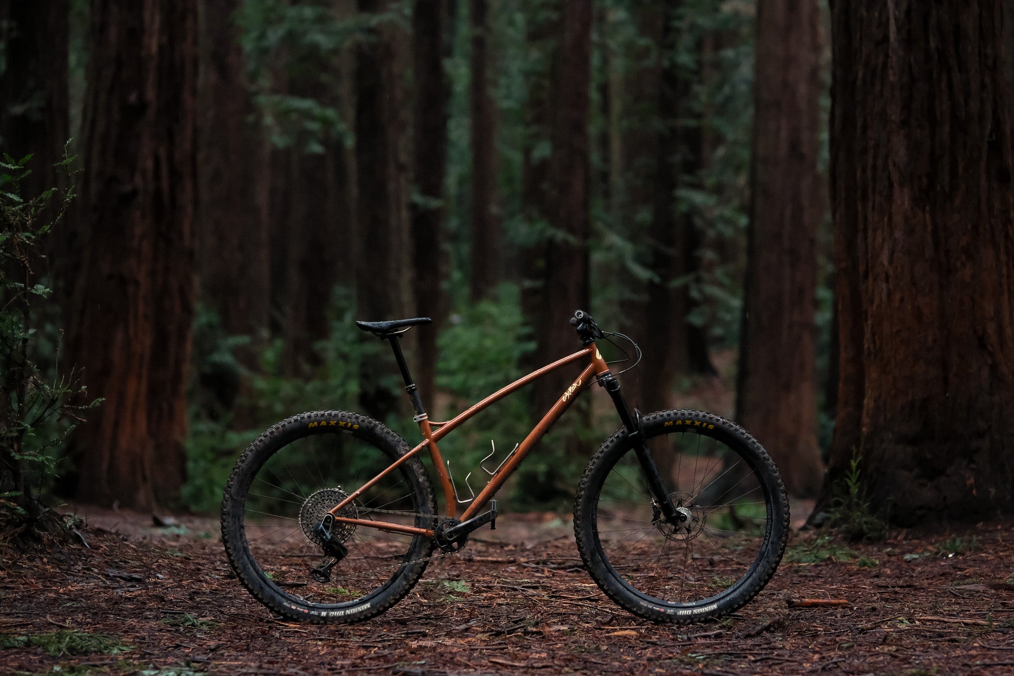 Introducing the Tall Tale Hardtail Mountain Bike