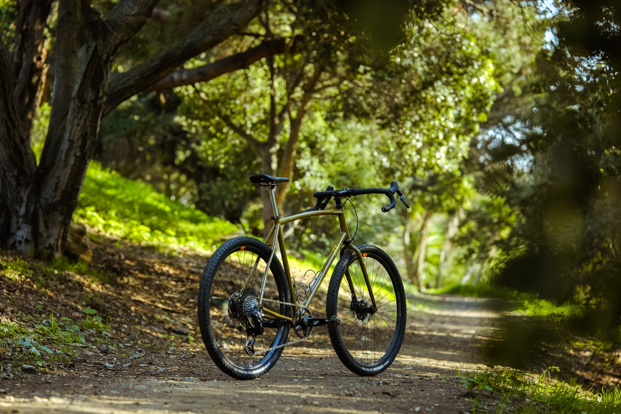 SuperSomething Gravel Bike for Will!
