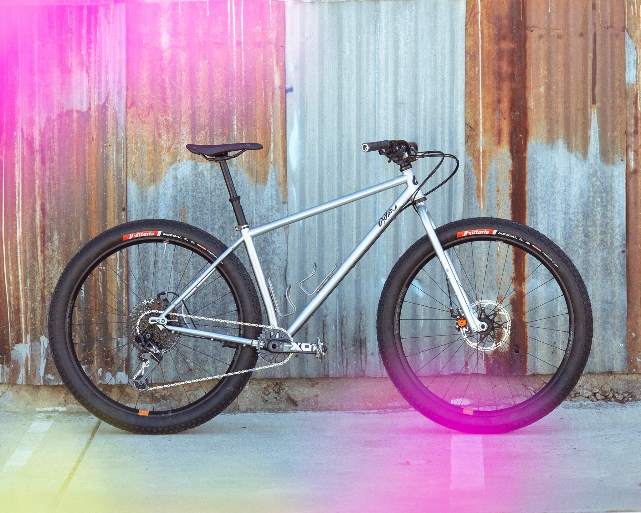 Gino's Silver PBJ Steel Hardtail MTB