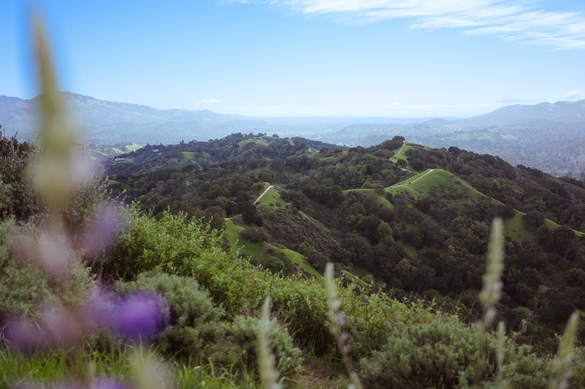 Green hills in Briones Park - Dreamy California ATB riding