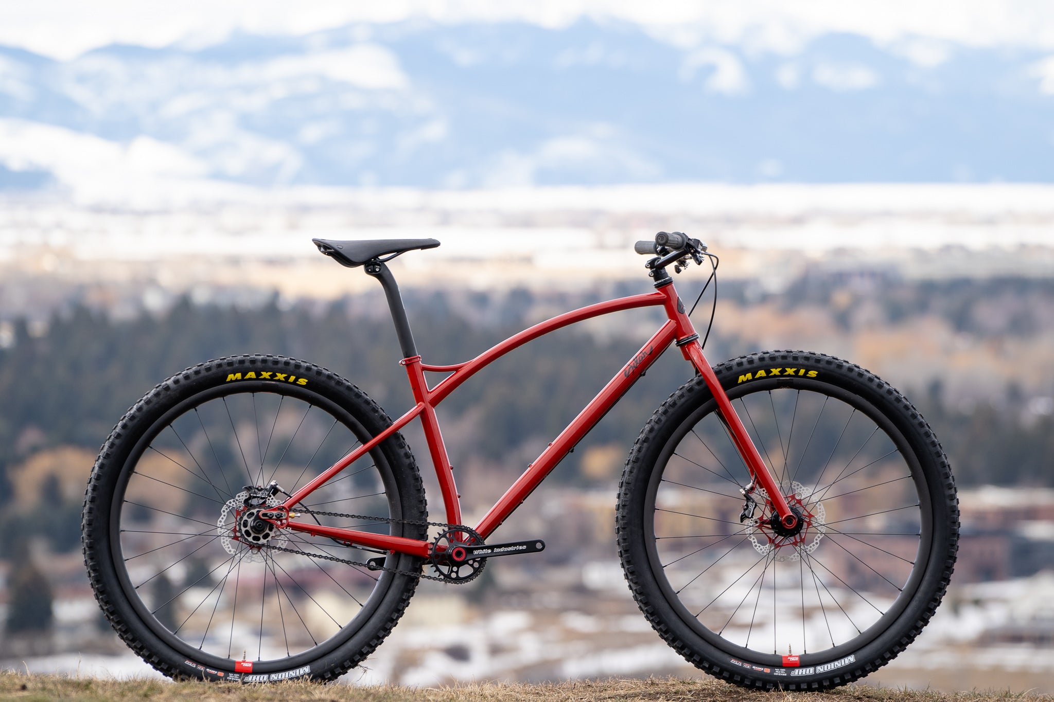 Todd's custom steel rigid SS Mountain Bike
