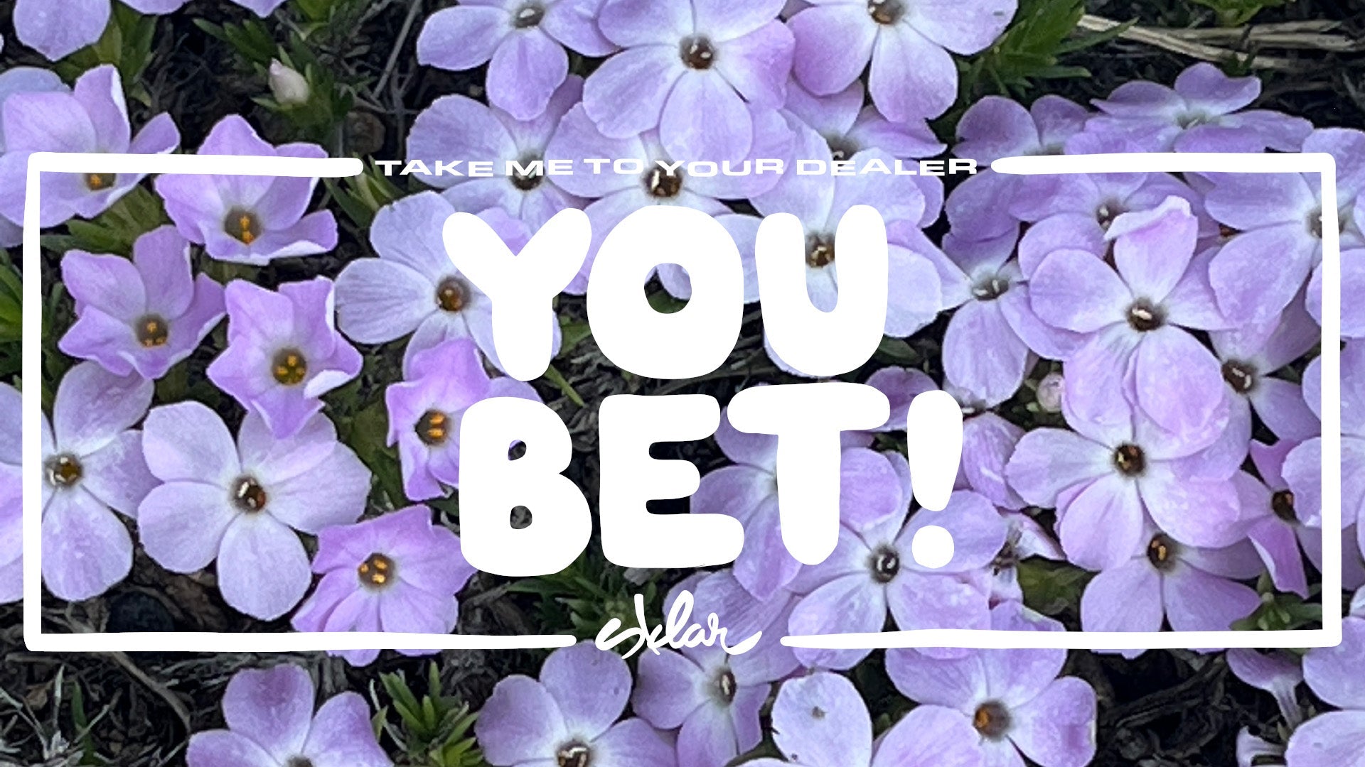 Take Me to Your Dealer: You Bet! Bicycle Sales and Service in Nevada City, California