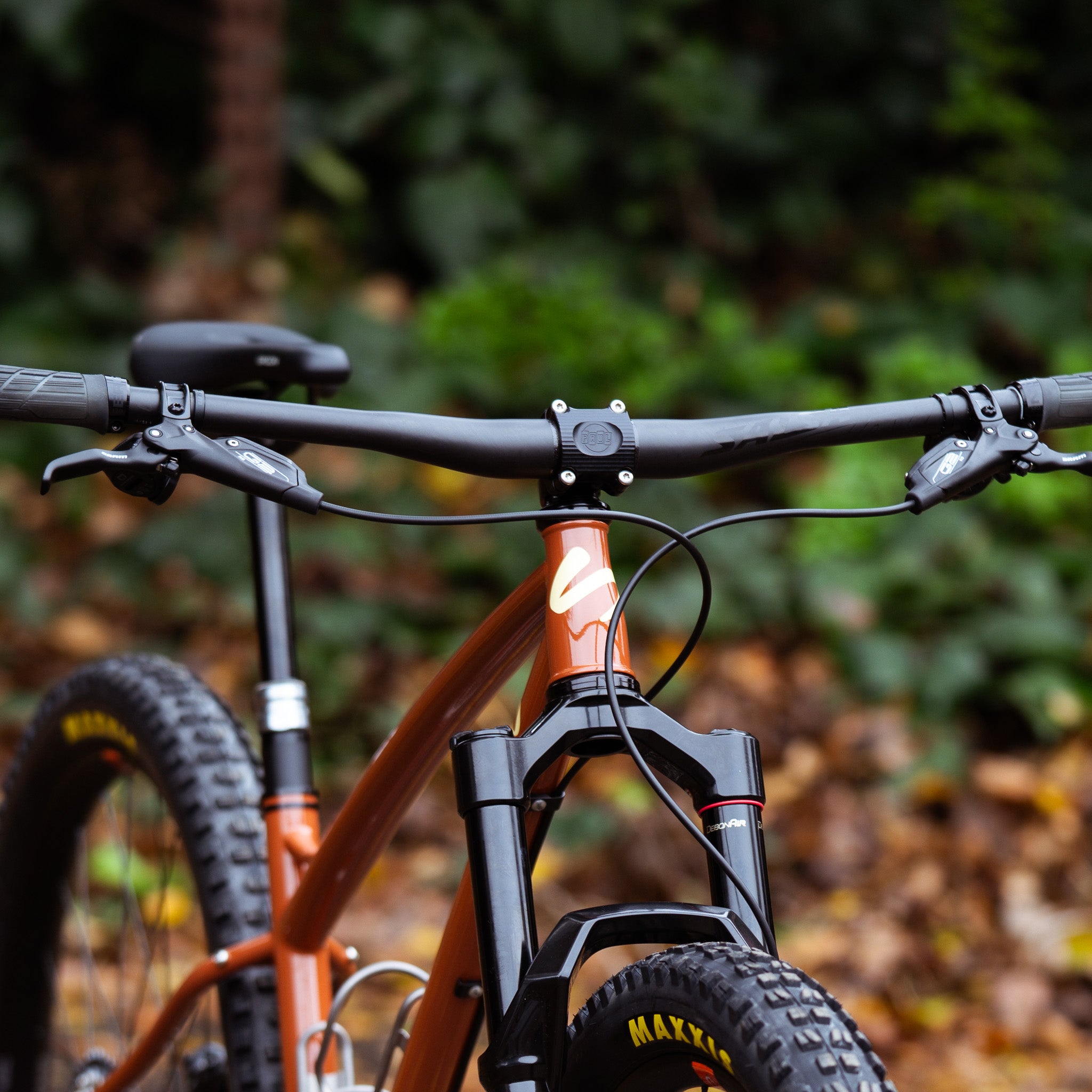 paul boxcar stem