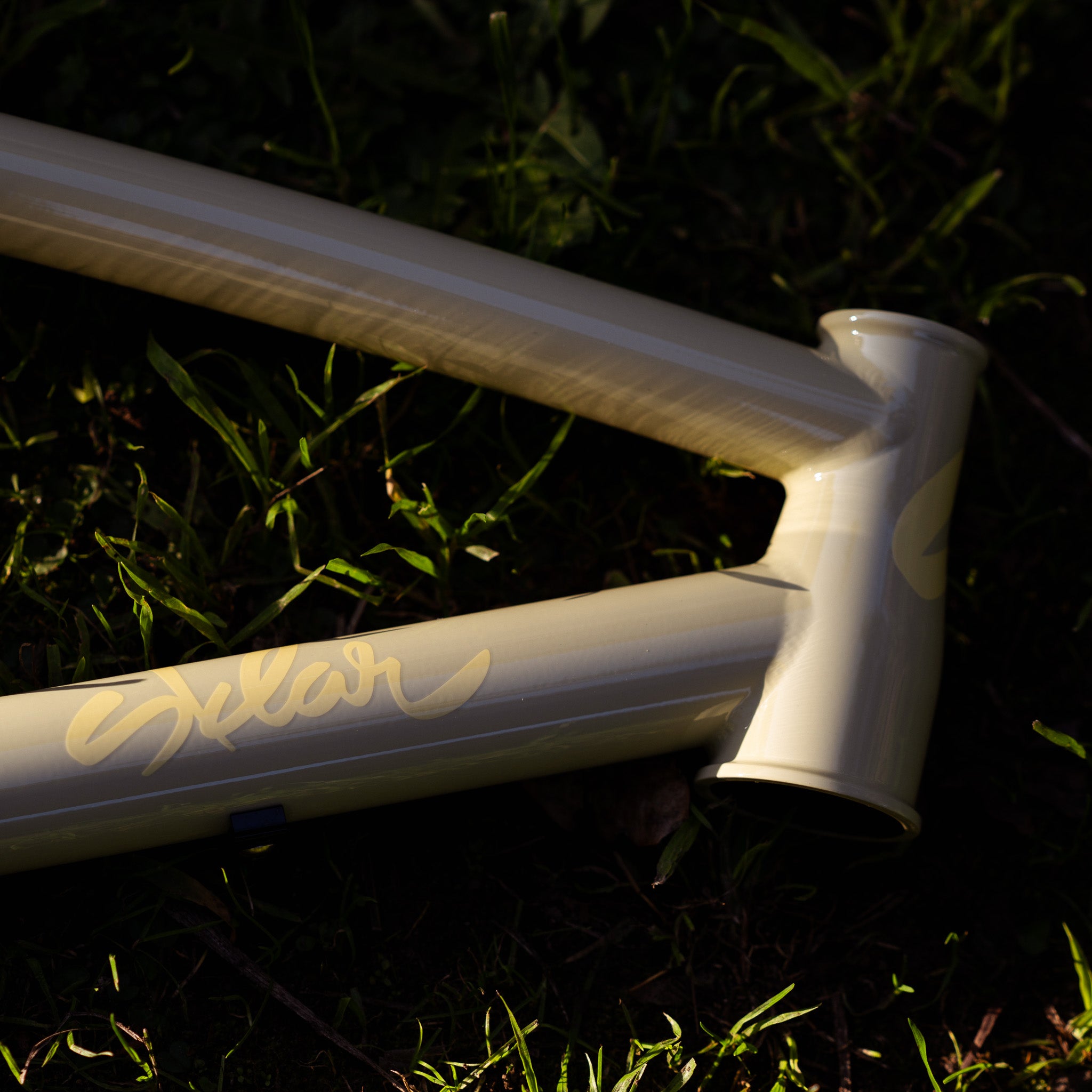 sklar Tall Tall steel hardtail 29er mountain bike frame Sage