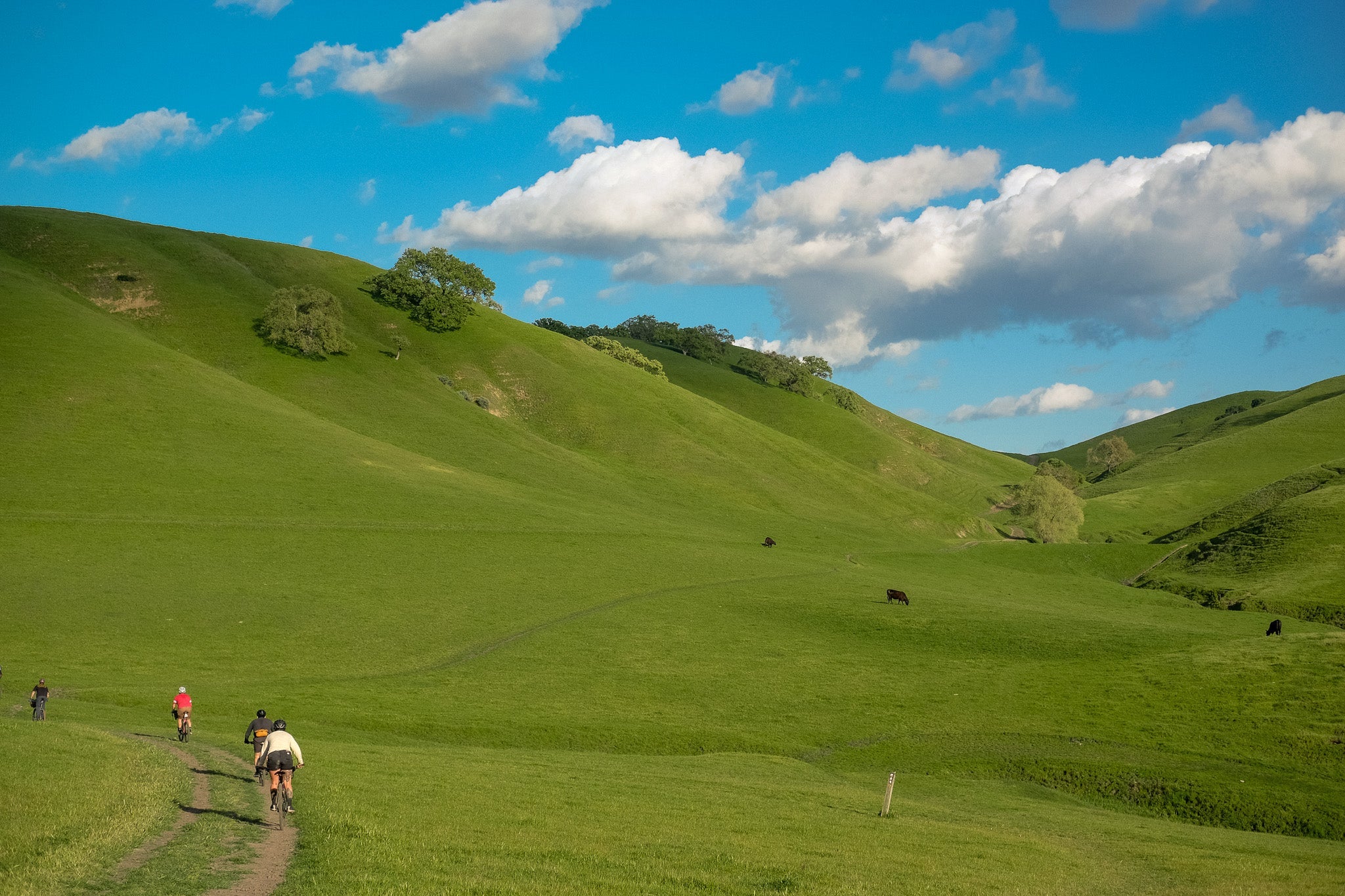 Adam's 2025 Year In Review