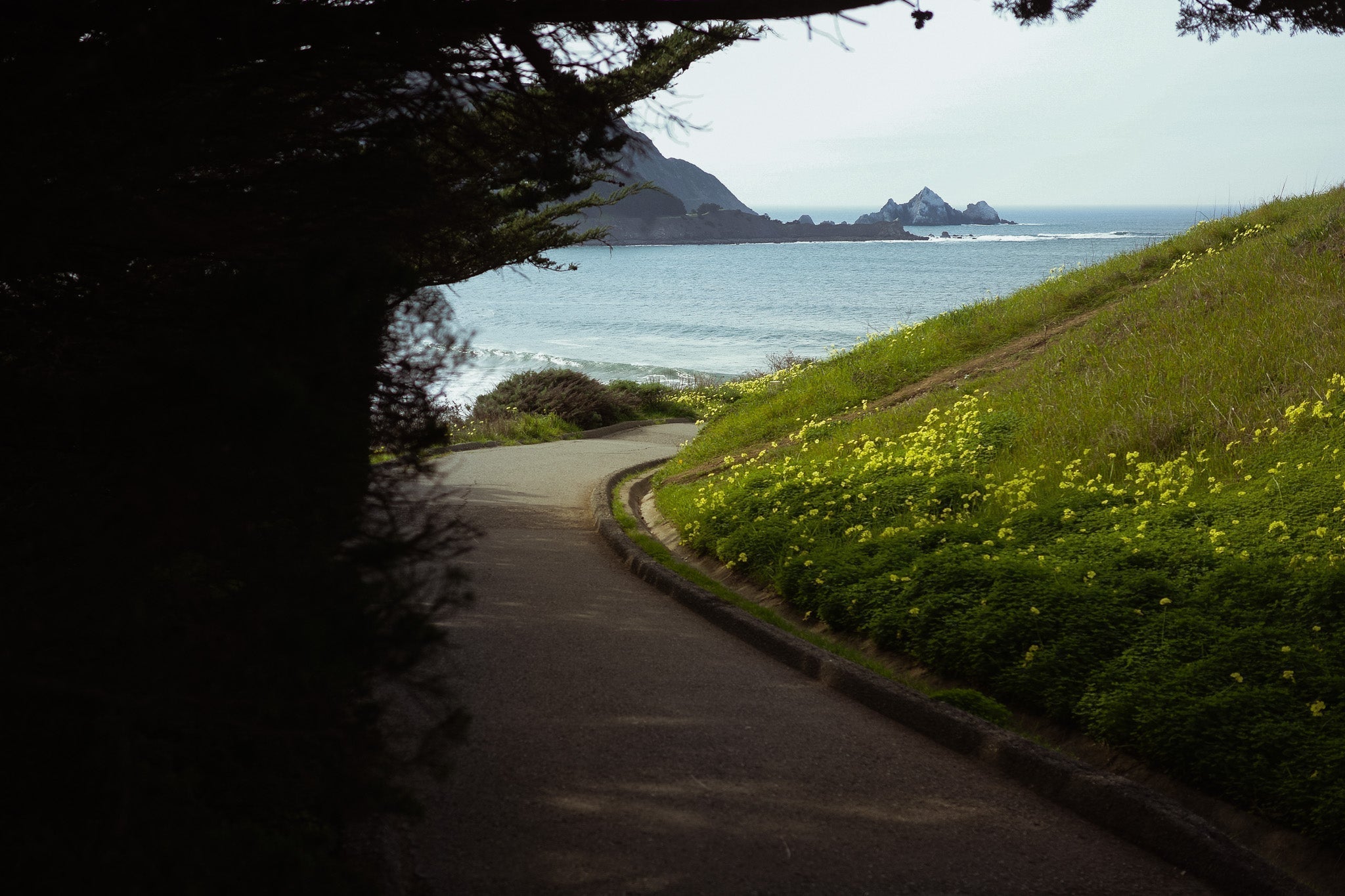 Ride Report - Coast to Purisima Creek