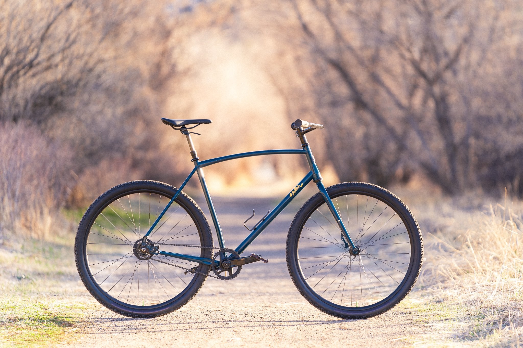 Single speed coaster brake bike sale