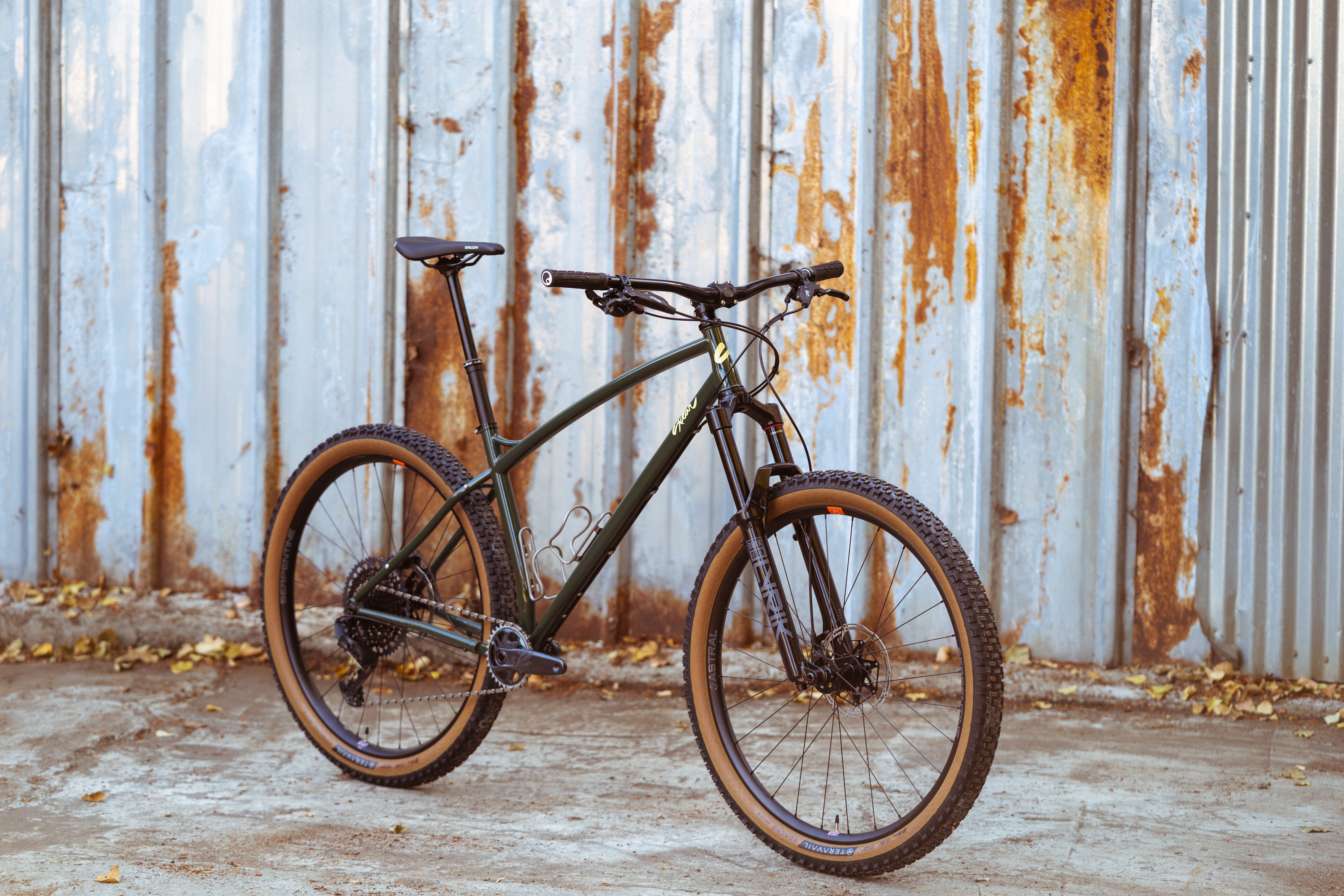 Steel xc bike online