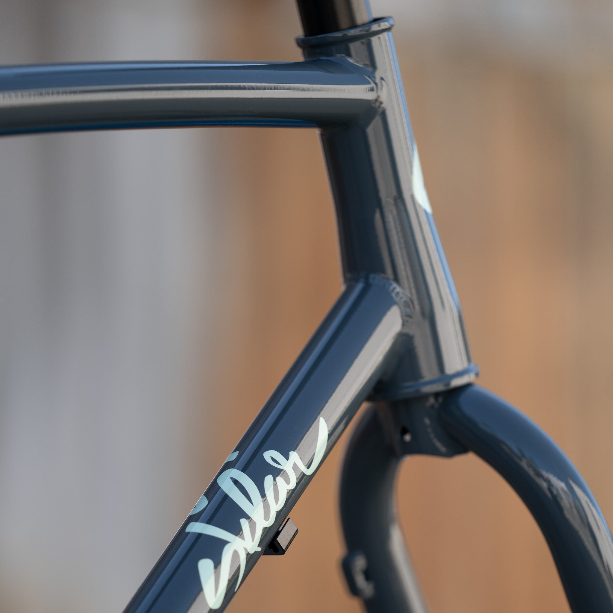 SuperSomething - All Road Gravel Bike