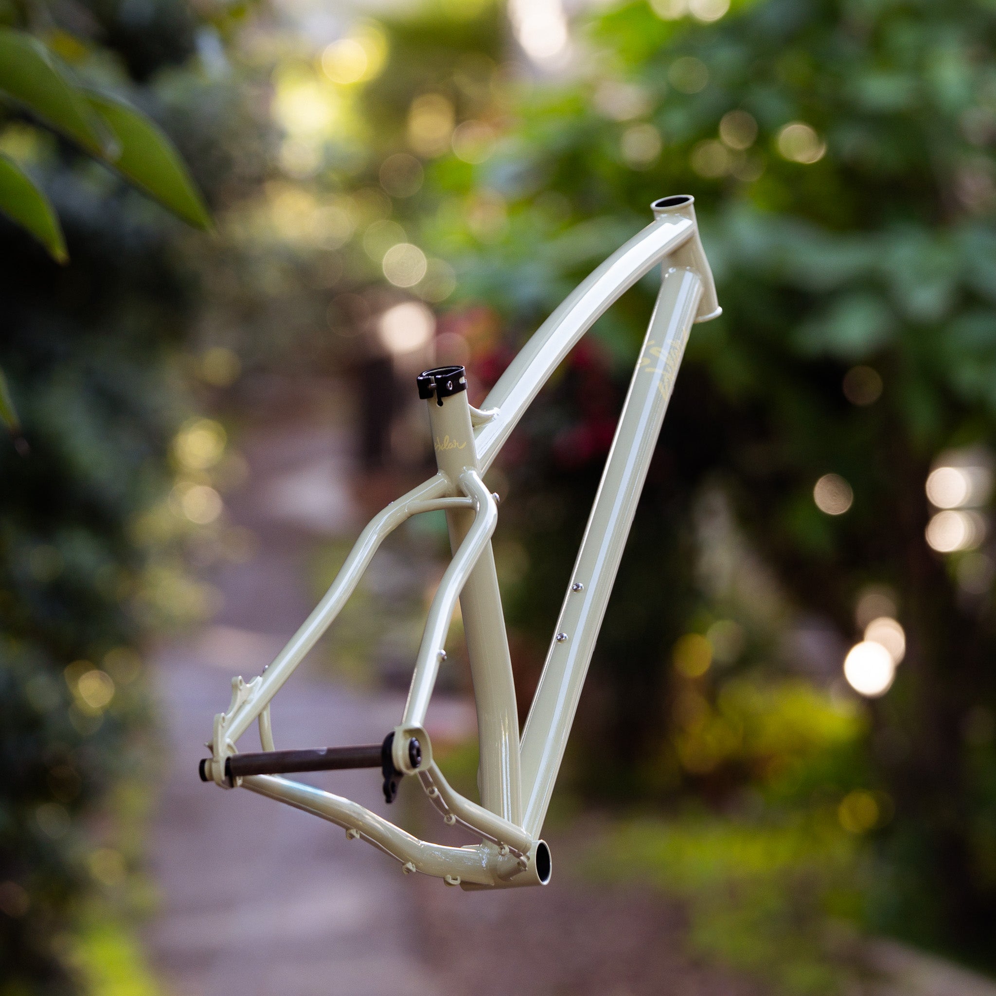 sklar Tall Tall steel hardtail 29er mountain bike frame Sage