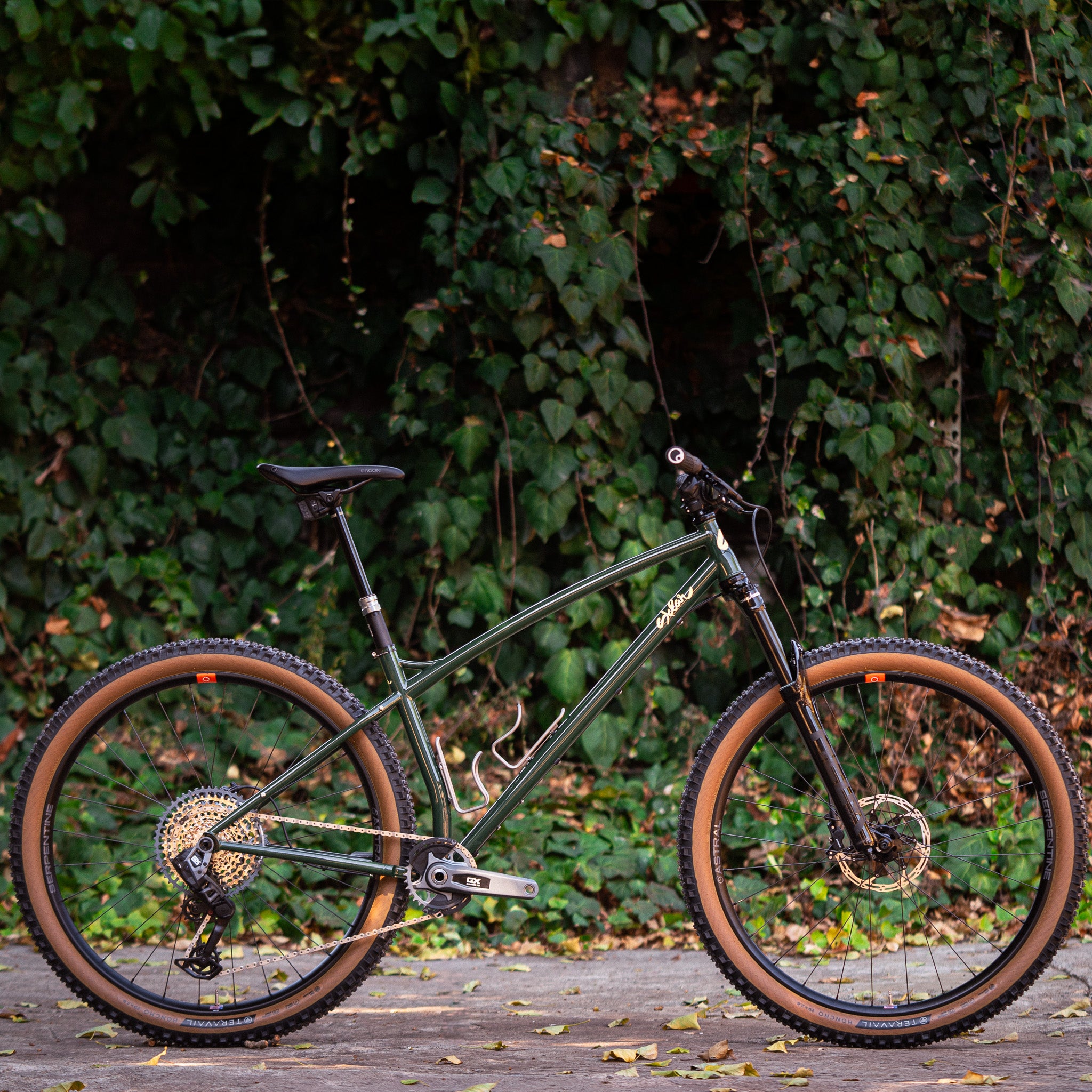 Tall Tale Steel Hardtail Mountain Bike