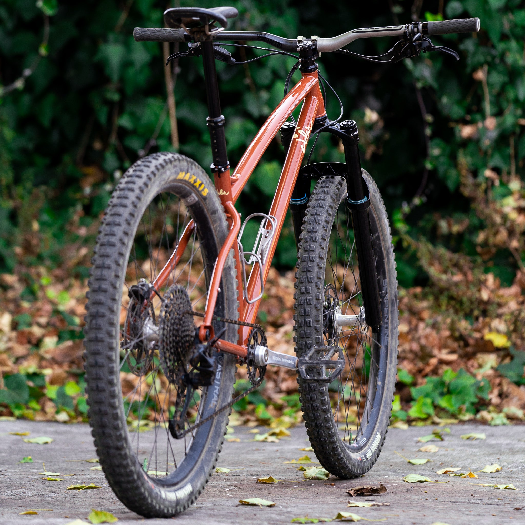 Tall Tale Steel Hardtail Mountain Bike
